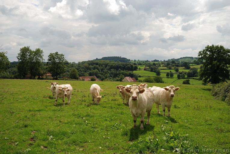 ENE-20110728-0665.jpg - Vareilles (Saône-et-Loire)